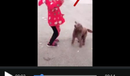 我的视频,[视频标题]